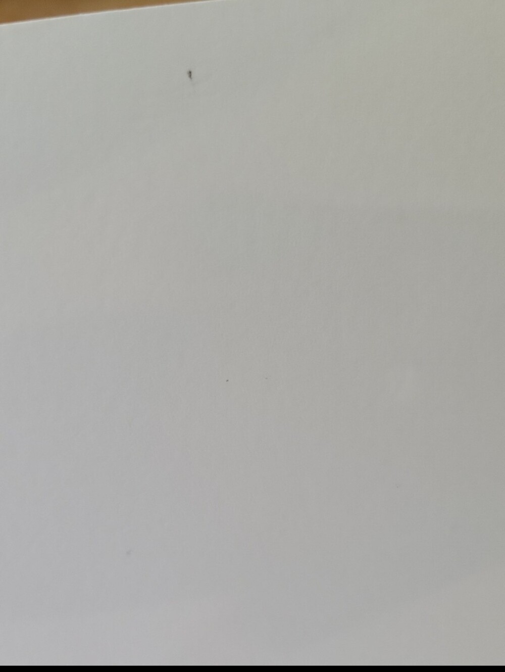 Lee Jeans Original Icons Promotional Journal / Notebook Lined Pages - Picture 4 of 7